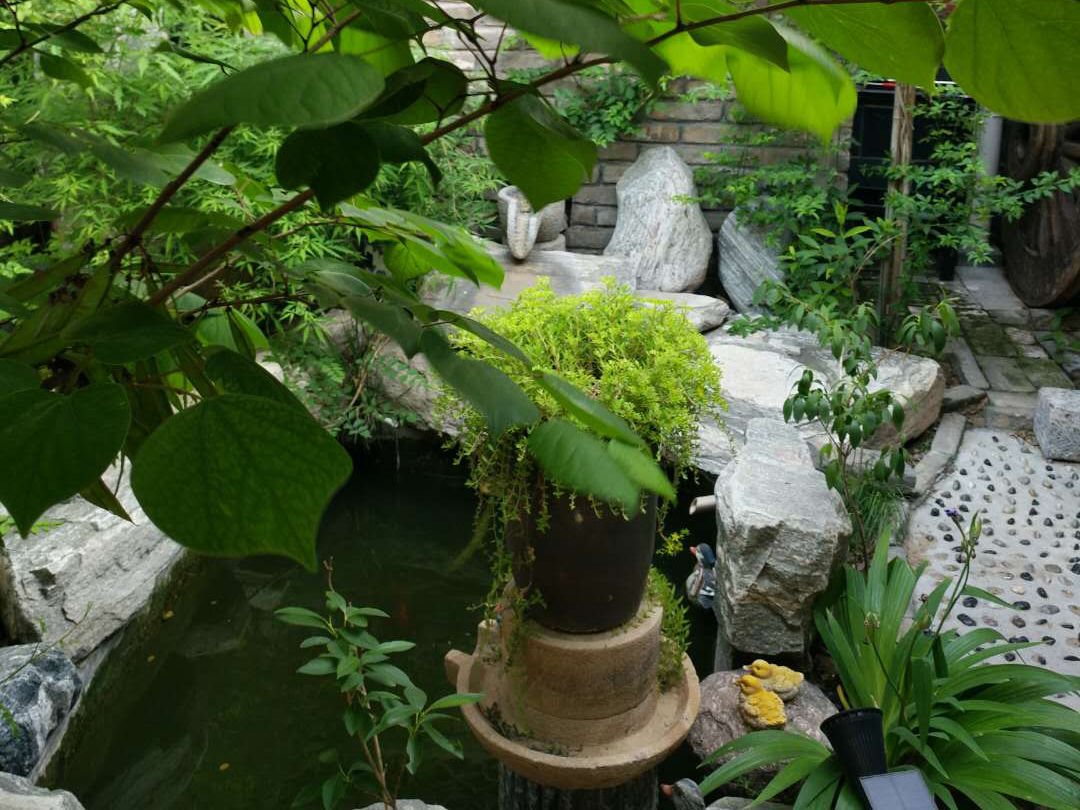 文化會館环境展示