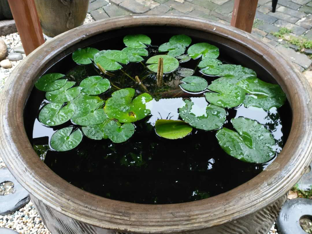 文化會館环境展示